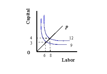 (a)   (b)   (c)  -Refer to Exhibit 8-1. Describe the returns to scale for each graph. Explain your answers.