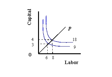 (a)   (b)   (c)  -Refer to Exhibit 8-1. Describe the returns to scale for each graph. Explain your answers.