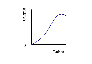  Exhibit 8-3   -Refer to Exhibit 8-3. This graph most likely illustrates which type of production function?