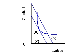   -Refer to Exhibit 9-1. Which point represents the least-cost input combination? A)  (a)  B)  (b)  C)  (c) 