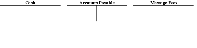During the first month of operation, Sasha's Massage experienced the following transactions            Instructions:   