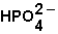 The principal anion in plasma is   .