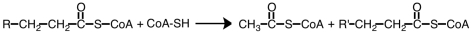  What process is summarized by the reaction shown below?   A)  fatty acid synthesis  B)  ketone body production  C)   \beta -oxidation pathway  D)  fatty acid activation  