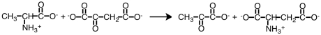 The type of enzyme that would catalyze the following reaction would be a(n) ___ .   A) hydroxylase B) transaminase C) synthetase D) lipase