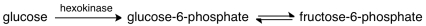 During glycolysis the action of hexokinase is controlled by the concentration of glucose-6-phosphate.The first steps of glycolysis are shown below.   This is an example of feedback inhibition.