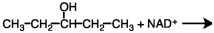 What would be the products of the following reaction?   A)    B)    C)    D)   
