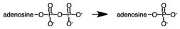 The following reaction is exergonic.  
