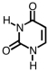 The following base could be found in both DNA and RNA.  