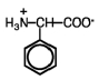 What is the name of the following amino acid?   A) alanine B) tyrosine C) phenylalanine D) proline
