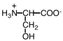 Which of the following best classifies the side chain of the amino acid listed below?   A) neutral,nonpolar B) basic,polar C) neutral,polar D) acidic,polar