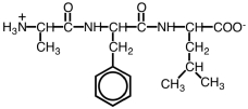 The following peptide could be named as _____ .   A) valinylphenylalanyl B) alanylphenylvaline C) glycylphenylleucine D) glycylphenylalanine