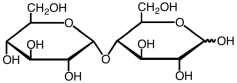What is the name of the following sugar?   A) sucrose B) maltose C) lactose D) xylobiose