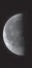 What is the phase of the Moon shown in the following image   A) third quarter B) first quarter C) waxing gibbous D) waning gibbous
