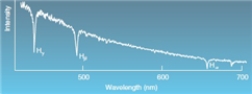   -What kind of spectra is shown above  A) continuous B) blackbody C) emission D) absorption