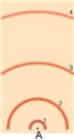 in the following model of an atom, draw a transition from the ground state to the first excited state. To draw this, draw the electron's motion as a line with an arrow to indicate direction and draw the photon as a wave with an arrow to indicated direction. Label the electron and photon. Label whether this is an absorption, emission, or continuous spectrum.  