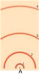 in the following model of an atom, draw a transition from the second excited state to the first excited state. To draw this, draw the electron's motion as a line with an arrow to indicate direction and draw the photon as a wave with an arrow to indicated direction. Label the electron and photon. Label whether this is an absorption, emission, or continuous spectrum.  