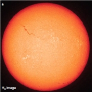   -The squiggly dark line in the upper left quadrant of the Sun in the image above is called a ___________.  A) solar flare B) prominence C) sunspot D) filament