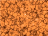   -The above image is a __________ wavelength image of granulation in the ___________.  A) infrared, chromosphere B) visual, photosphere C) X-ray, corona D) far-UV, chromosphere