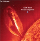   -The feature shown in the following image of the Sun is a solar flare. 