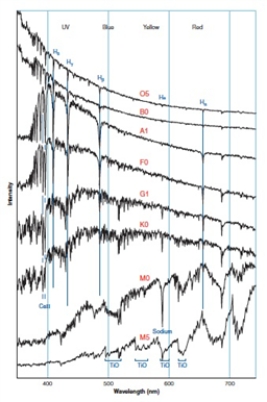   As shown in the spectra above, sodium is present in _________ spectral classes.  A) M0 B) K0 C) G1 D) All of the other choices are correct.