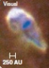   -The above image is an example of a ________.  A) protostellar disk B) YSO C) protostar D) Herbig-Haro object