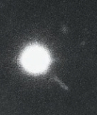   -This star-like radio-quiet object shown above in visual wavelengths is actually a/an _____________.  A) elliptical galaxy B) spiral galaxy C) Seyfert D) quasar