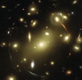 The multiple images forming a ring around the cluster come from two merging distant galaxies.  