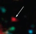   -If the galaxy shown above has a 6.964 redshift, the galaxy is __________ and __________.  A) young, nearby B) old, nearby C) young, far away D) old, far away