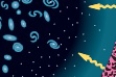    -The above cartoon shows the present Universe as it appears from the vantage point of our solar system, which is in the upper left corner of the figure. According to the cosmological principle, how will the view change if we turned around 180 degrees and looked in the other direction How do you know 