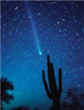 <strong>in the following photo, where is the Sun located </strong> A)not shown but above the cactus B)not shown but to the right of the cactus C)not shown but below the cactus D)not shown but to the left of the cactus