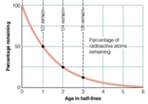 <strong>After 3 half-lives, what percent of the original radioactive atoms are still in the sample as shown in the graph above </strong> A)12.5 B)25 C)50 D)100