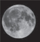 The dark features on the Moon as shown in the following photo are _________________.   A) mare B) craters C) the man on the Moon D) maria