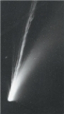 The tail on the right side of the photo is the dust tail.  <div style=padding-top: 35px> 