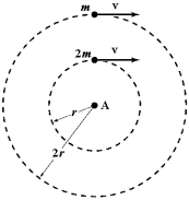 Two objects of mass m<sub>1</sub> = 2m and m<sub>2</sub> = m move around a rotation axis A in parallel circles of radii r<sub>1</sub> = r and r<sub>2</sub> = 2r with equal tangential speeds.As they rotate,forces of equal magnitude are applied opposite to their velocities to stop them.Which statement is correct?   A) m<sub>2 </sub>will stop first because it has the larger initial angular velocity. B) m<sub>1</sub> will stop first because it has the smaller radius. C) m<sub>2</sub> will stop first because the torque on it is greater. D) m<sub>1</sub> will stop first because it has the smaller moment of inertia. E) Both objects will stop at the same time because the angular accelerations are equal.