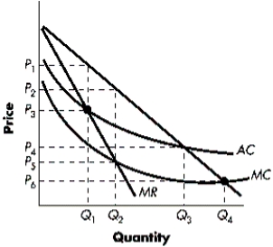 Figure 8-C The following diagram contains information on cost and revenue curves facing a regulated monopoly.   -Refer to Figure 8-C.The socially efficient level of output would occur where: A) price equals average total cost at Q<sub>3</sub>. B) price equals marginal cost at Q<sub>4</sub>. C) price equals marginal revenue at Q<sub>1</sub>. D) marginal revenue equals marginal cost at Q<sub>2</sub>. E) None of the above.