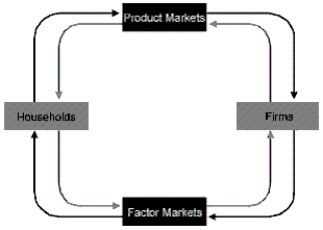 Figure 1-A   -Refer to Figure 1-A.In the circular flow diagram, goods and services: A) flow in a clockwise direction. B) flow in a counterclockwise direction. C) are sold by businesses in the factor market. D) flow in a clockwise direction AND are sold by businesses in the factor market E) flow in a counterclockwise direction AND are sold by businesses in the factor market.