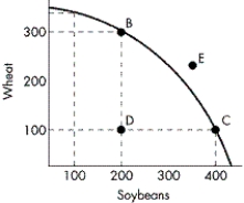 FIGURE 2-8    -Refer to Figure 2-8.In order to move from Point D to Point C,what will the economy have to give up? A) 200 bushels of soybeans B) 200 bushels of wheat C) 100 bushels of wheat D) nothing