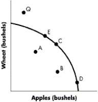 FIGURE 2-11    -Refer to Figure 2-11.How is the statement  To get more apples,we have to give up wheat  best illustrated in the above diagram? A) by a movement from Point A to Point C B) by a movement from Point C to Point D C) by a movement from Point A to Point E D) by a movement from Point B to Point C