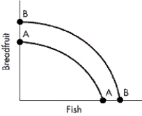FIGURE 2-12    -Refer to Figure 2-12.Which of the following would most likely cause the production possibilities curve for breadfruit and fish to shift from AA to BB? A) a decrease in the production of fish over breadfruit B) a reduction in the size of the available labour force C) an increase in the stock of capital D) an increase in the production of fish over breadfruit