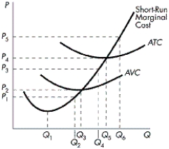FIGURE 8-7    -Refer to Figure 8-7. When the market price equals P₁, what output should the firm produce? A)  Q1 B)  Q2 C)  Q3 D)  0