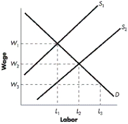 FIGURE 11-2    -Refer to Figure 11-2. When unions successfully increase the wages of their members, what happens to the supply curve and workers in the union sector? A)  The curve shifts from S1 to S2 and workers from L2 to L1 lose their jobs. B)  The curve shifts from S2 to S1 and workers from L2 to L1 lose their jobs. C)  The curve shifts from S1 to S2 and workers from L3 to L1 lose their jobs. D)  The curve shifts from S2 to S1 and workers from L3 to L1 lose their jobs.