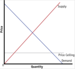 Exhibit 5-11 Panel (a)  Panel (b)    ​   -Refer to Exhibit 5-11. A binding price ceiling is shown in A) ​panel (a)  only. B) ​panel (b)  only. C) ​both panel (a)  and panel (b) . D) ​neither panel (a)  nor panel (b) .