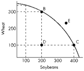 ​Exhibit 3-9   -Refer to Exhibit 3-9. In order to move from Point D to Point C, the economy will have to give up: A) ​200 bushels of wheat. B) ​nothing. C) ​200 bushels of soybeans. D) ​100 bushels of wheat.