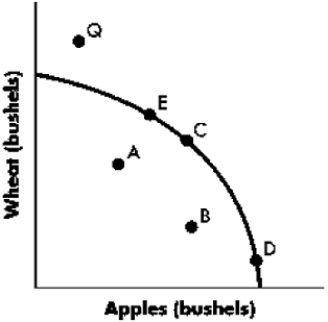 ​Exhibit 3-12   -Refer to Exhibit 3-12. The statement  to get more apples we have to give up wheat  is best illustrated in the diagram by a movement from: A) ​Point A to Point E. B) ​Point A to Point C. C) ​Point B to Point C. D) ​Point C to Point D.