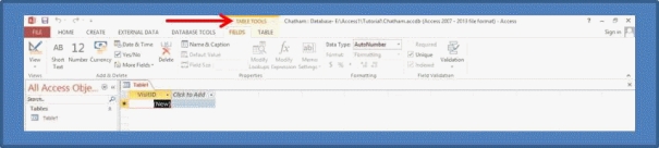   -In the accompanying figure, the Table Tools tab is an example of this type of tab that appears and provides options for working with a specific object when the object is selected. A)  auto tab B)  contextual tab C)  object tab D)  data tab
