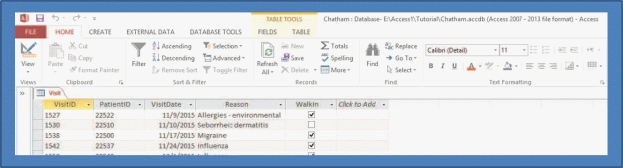 <strong> Which of the following is an Access 2013 database object?</strong> A) record B) field C) data D) table