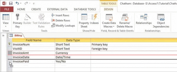   -In the accompanying figure, once the selected field is moved it will appear above which field in Design view? A)  InvoicePaid B)  InvoiceDate C)  InvoiceAmt D)  InvoiceNum