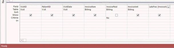   -In the accompanying figure, which field represents a calculated field? A)  Visit ID B)  Invoice Amt C)  Late Fee D)  Date of Visit