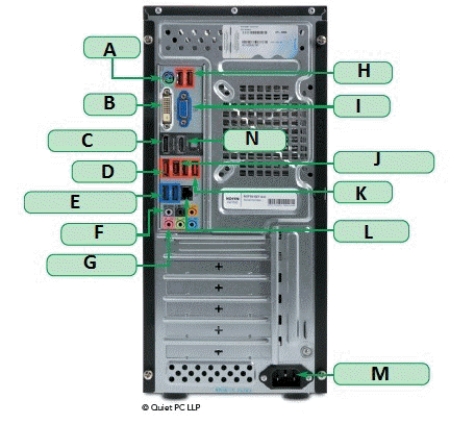   -You can connect to another computer, a LAN, a modem, or sometimes directly to the Internet using port ____. A)  C B)  L C)  M D)  A