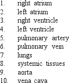<strong>Indicate which is the proper sequence of blood flow through the circulatory system.  </strong> A) 1-2-3-4-5-6-7-8-9-10 B) 10-2-4-5-7-6-1-3-9-8 C) 10-1-3-5-7-6-2-4-9-8 D) 10-1-2-3-4-5-7-6-9-8 E) none of these answers. <div style=padding-top: 35px> 